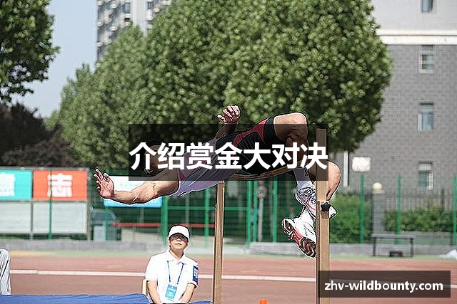 介绍赏金大对决